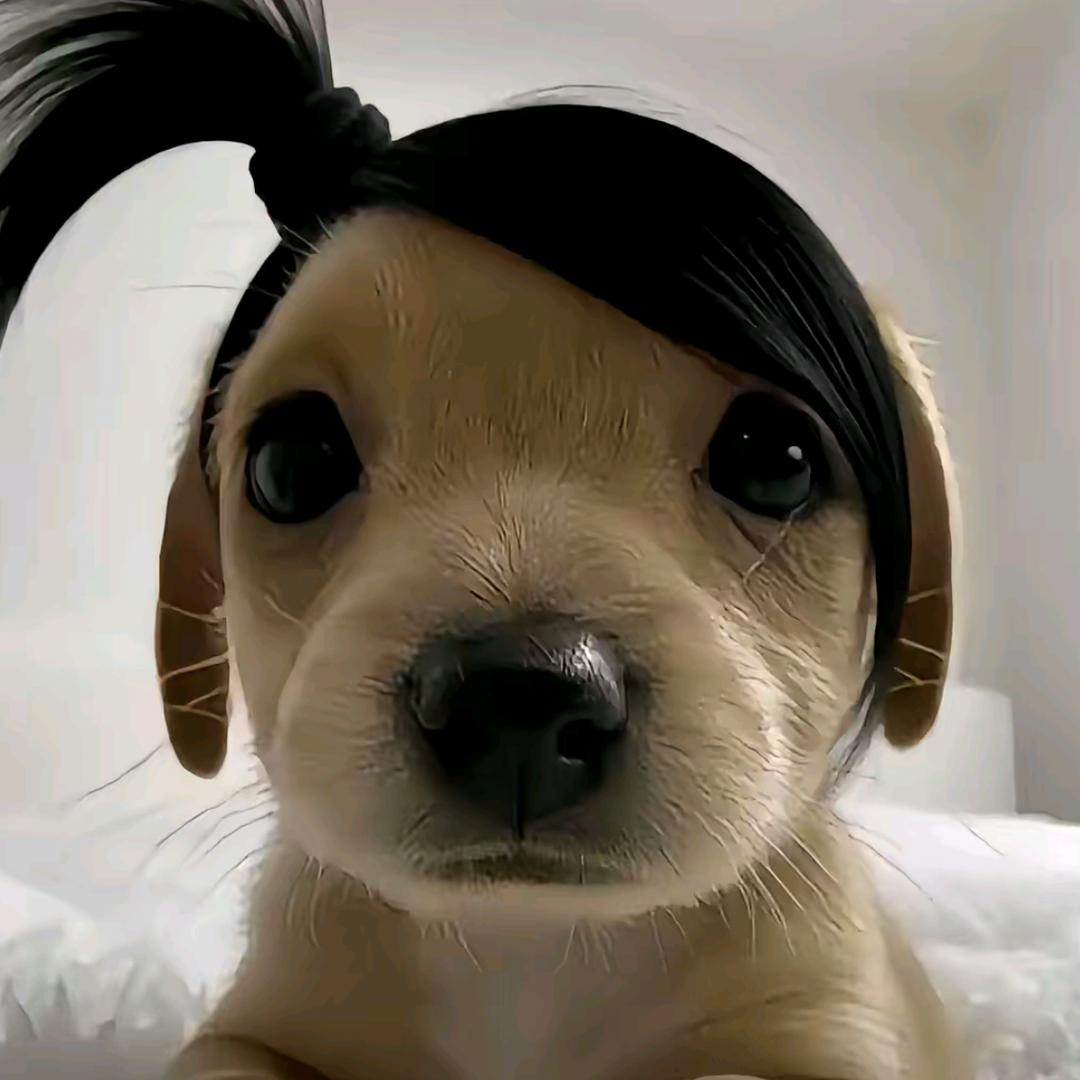 阴晴雨.