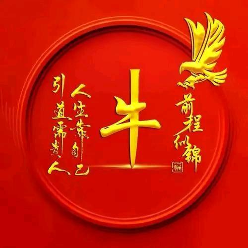 🔥牛人礼麻酱流汁宽粉砂锅