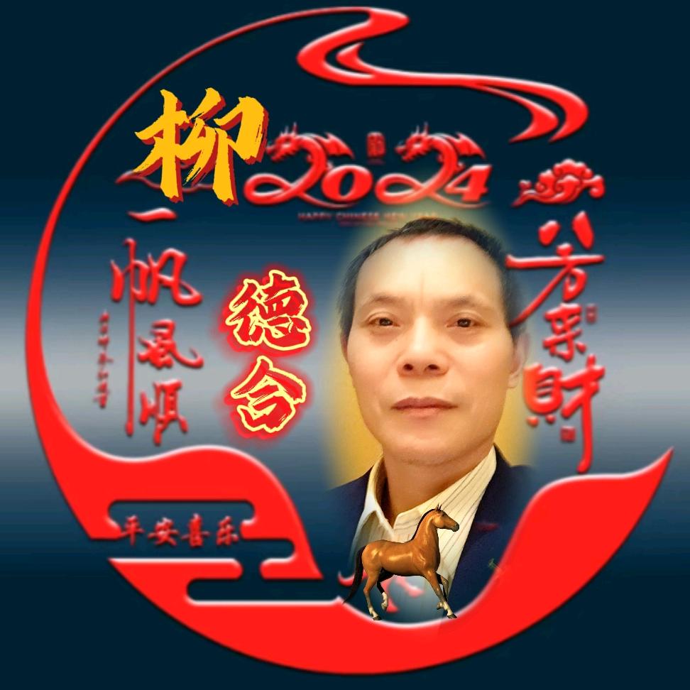 管乐小号柳