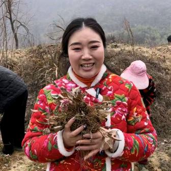 河南百苗种业李老师