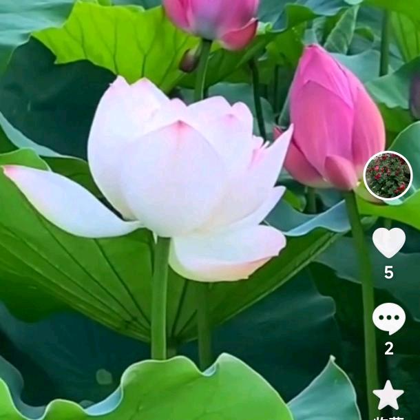相识是 福