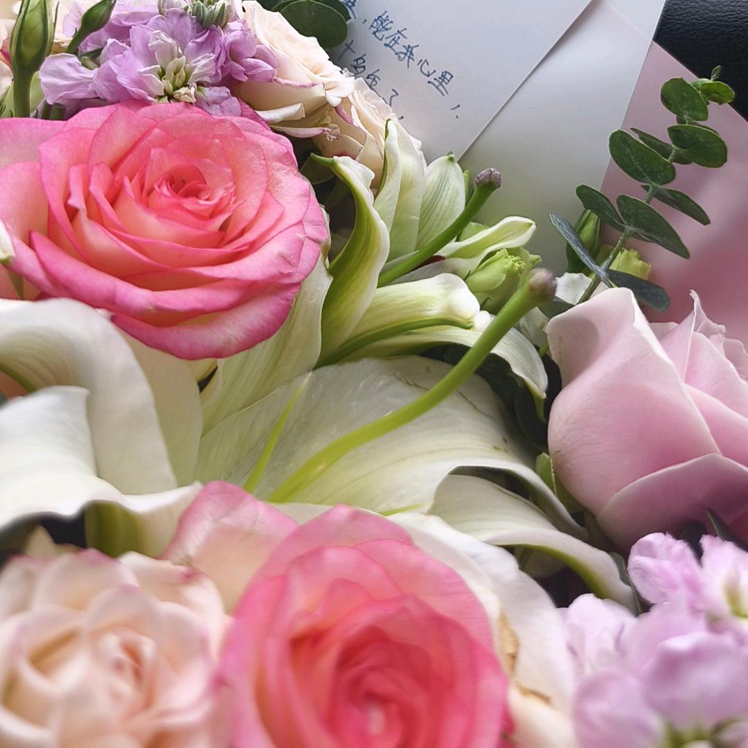 新纷🌹玫瑰