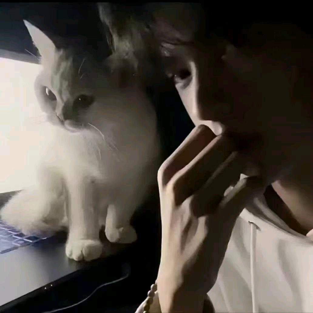 君不见，思君