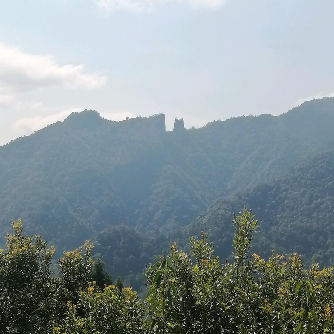 默%言（辛福有你）