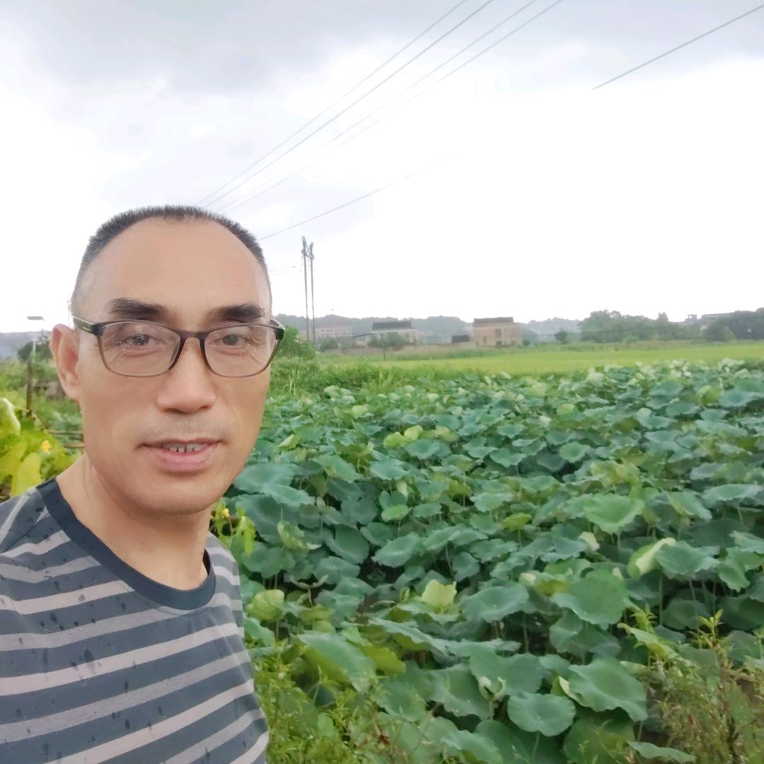 火红的太阳～红哥