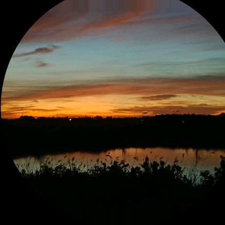 凉凉（陪拍版）