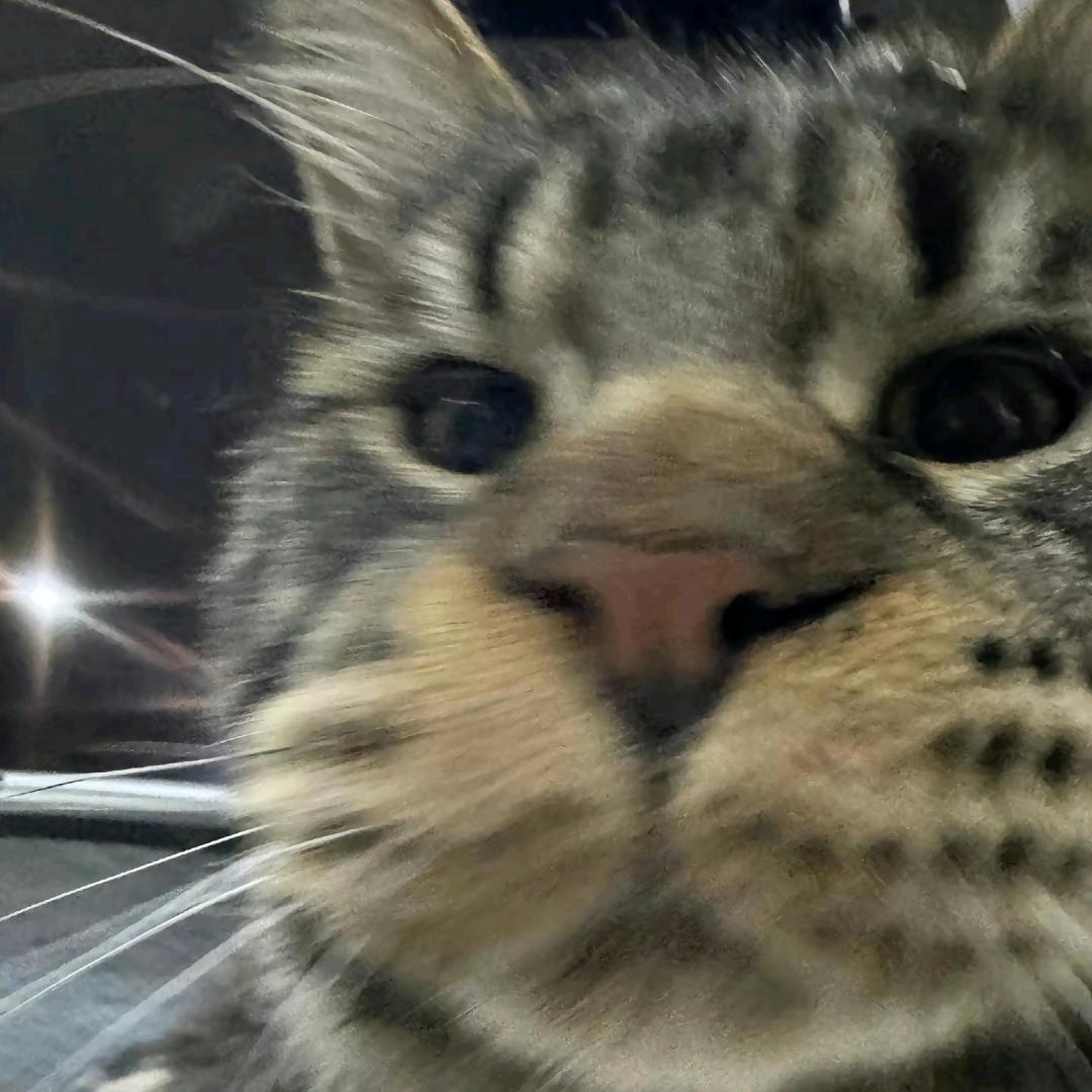 放屁给你暖手💨