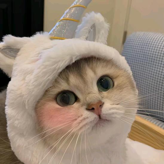 小凤儿百货