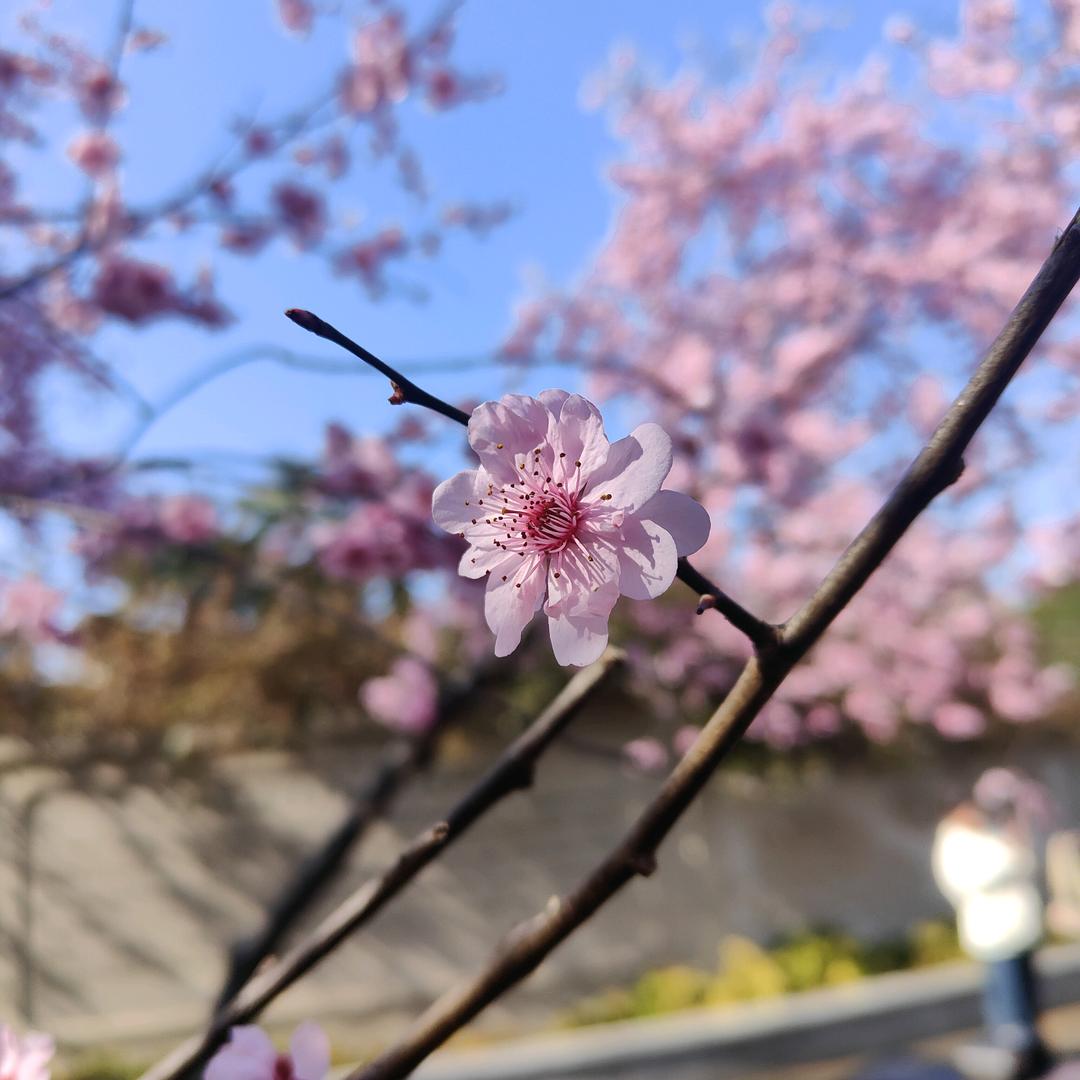 点点
