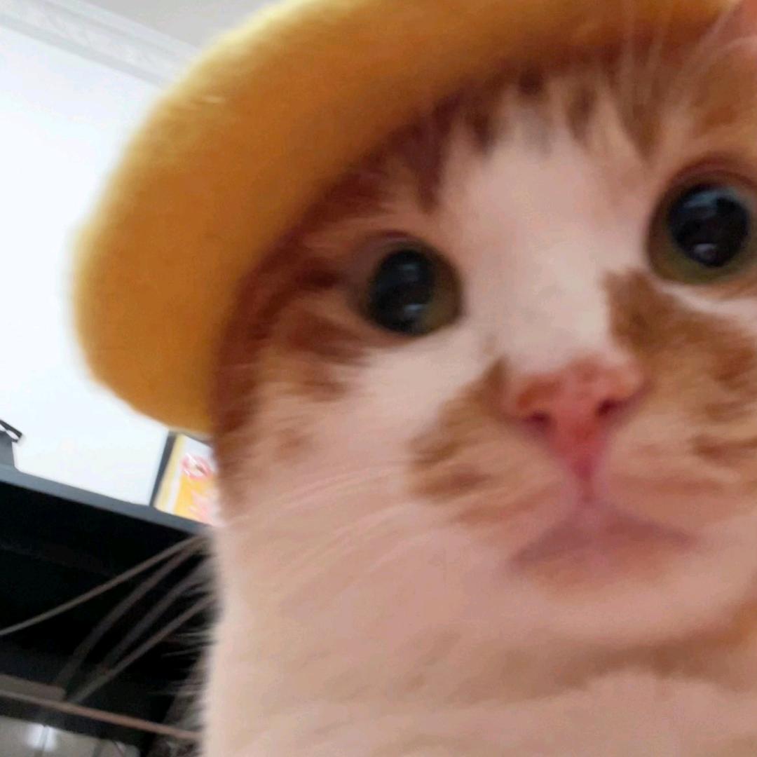 人情冷暖好少年、