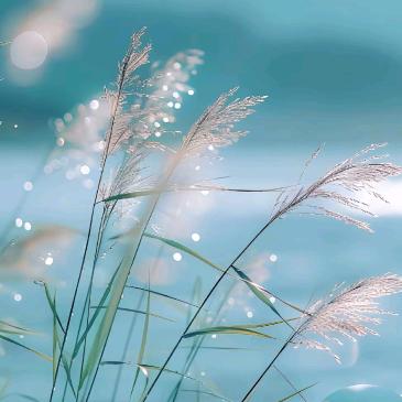 佳姐 修，姥**②