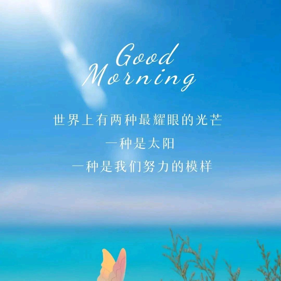 飘零的🍁枫叶