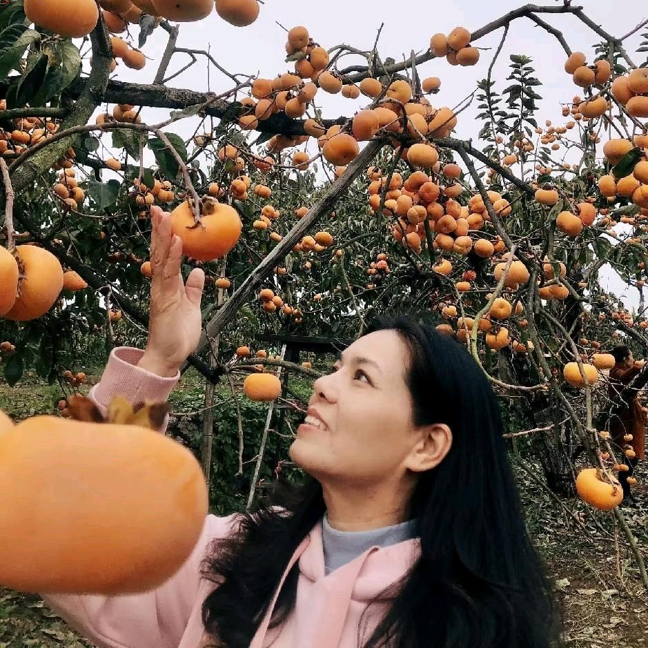 🍀忘忧草🍀