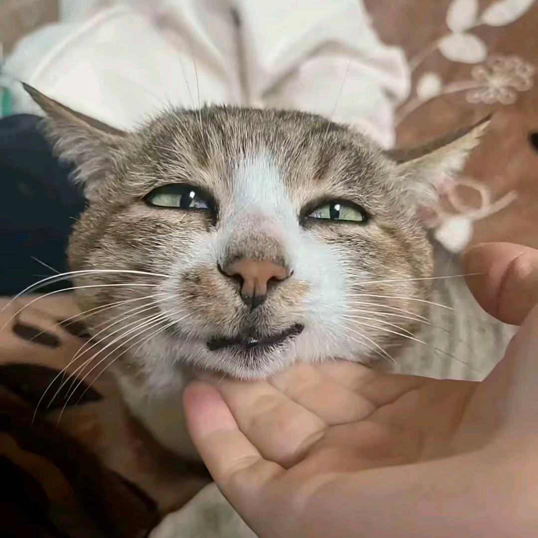 一个梦