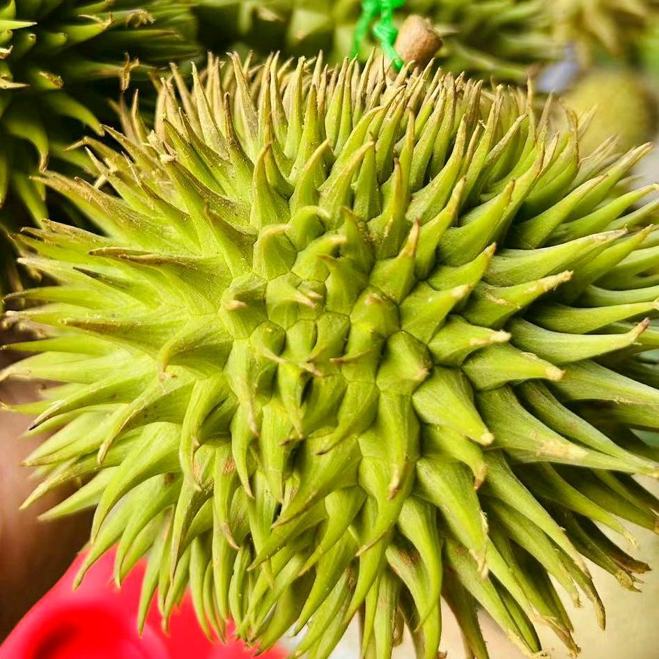 雅媛鲜果