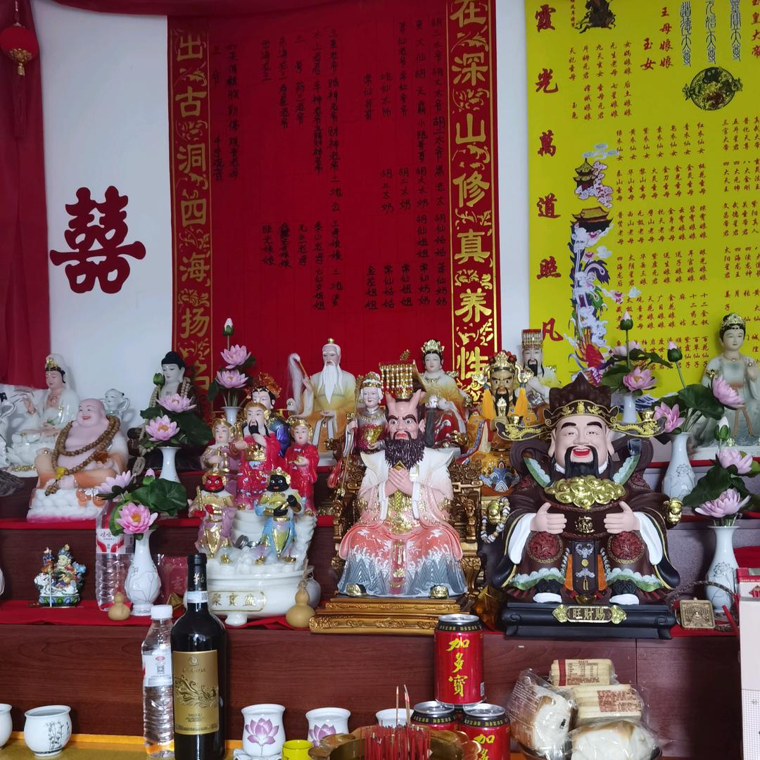 中信蔬菜