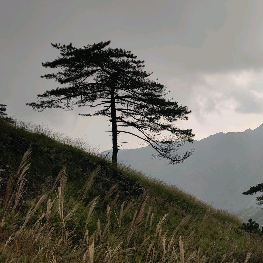 ...点点