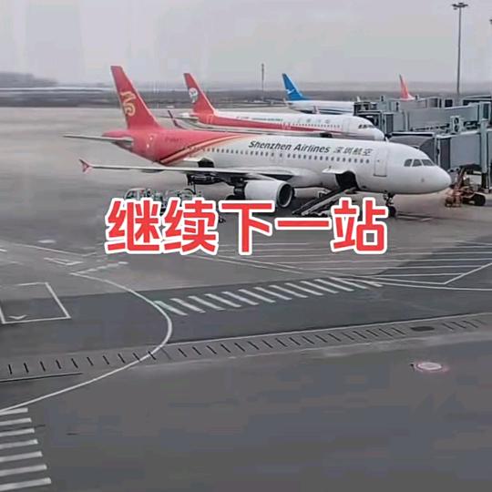 乐好（有要包子，馒头，团子朋友们私信我）