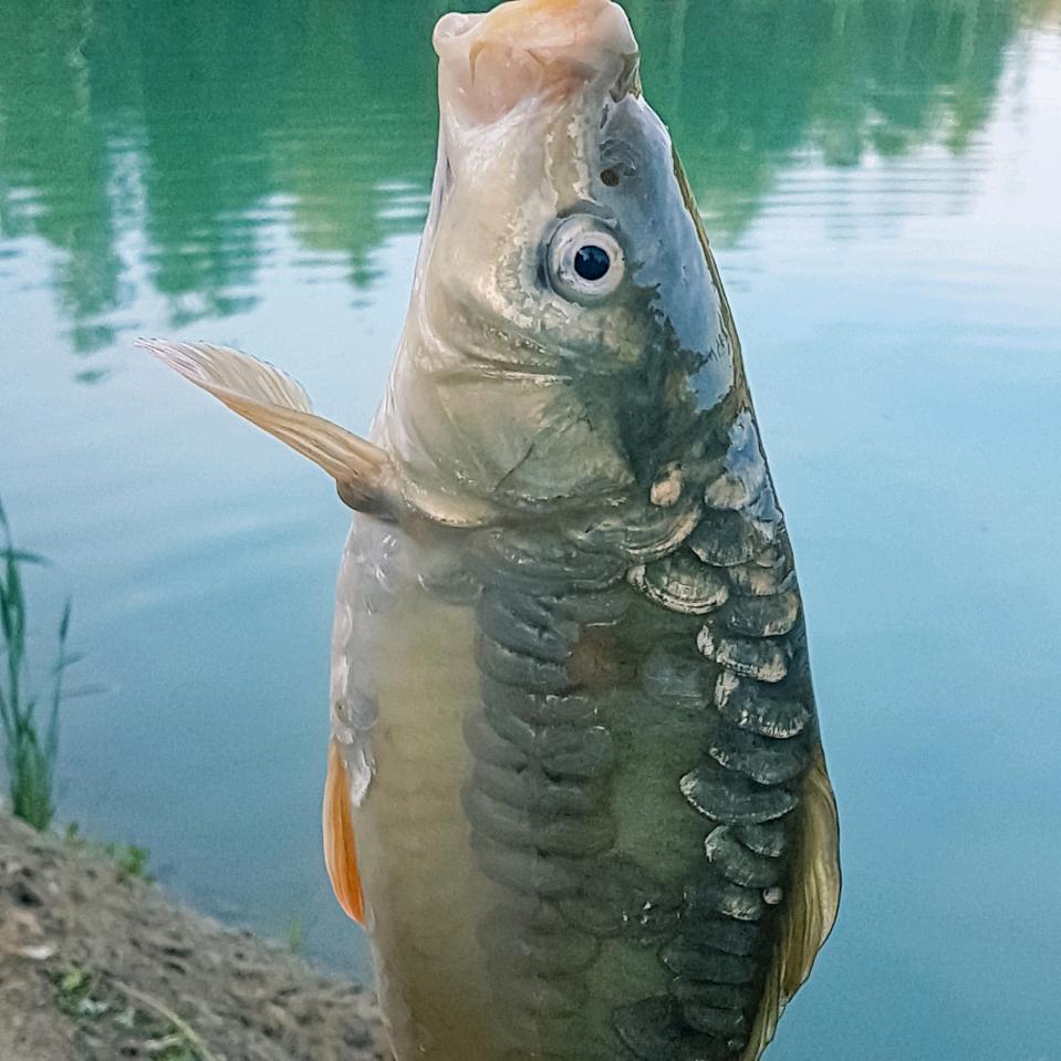 华荣户外运动