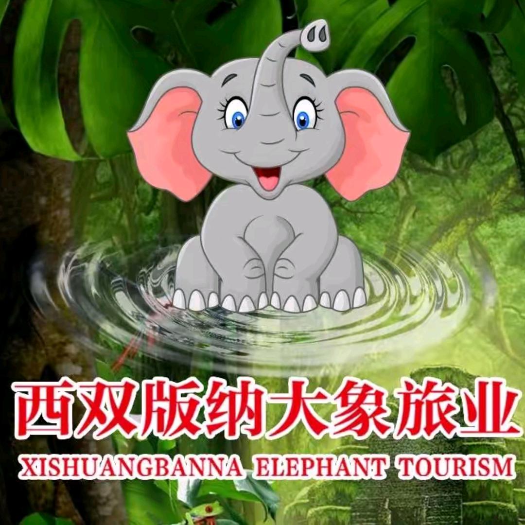 西双版纳大象旅行社—私家团推荐官