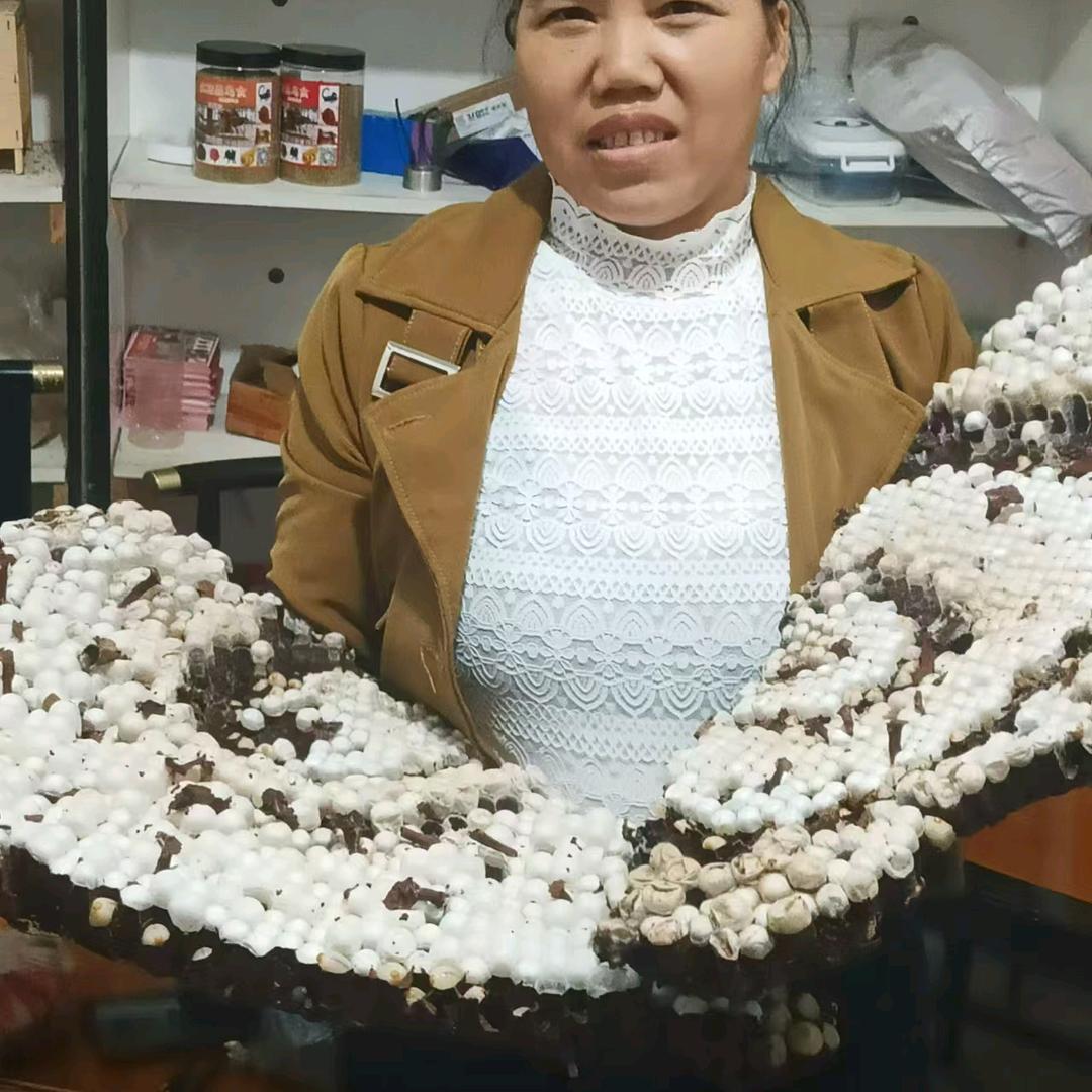 姚氏宠物及日用精选店铺