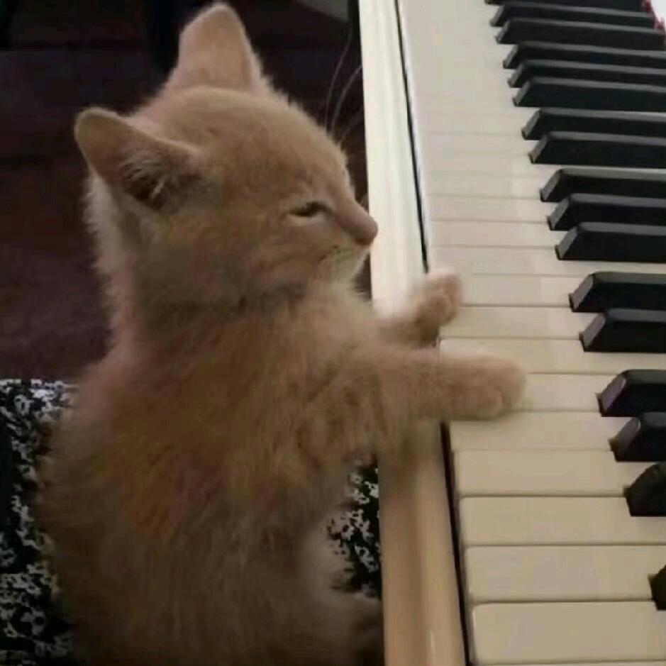 回家吧天都黑了