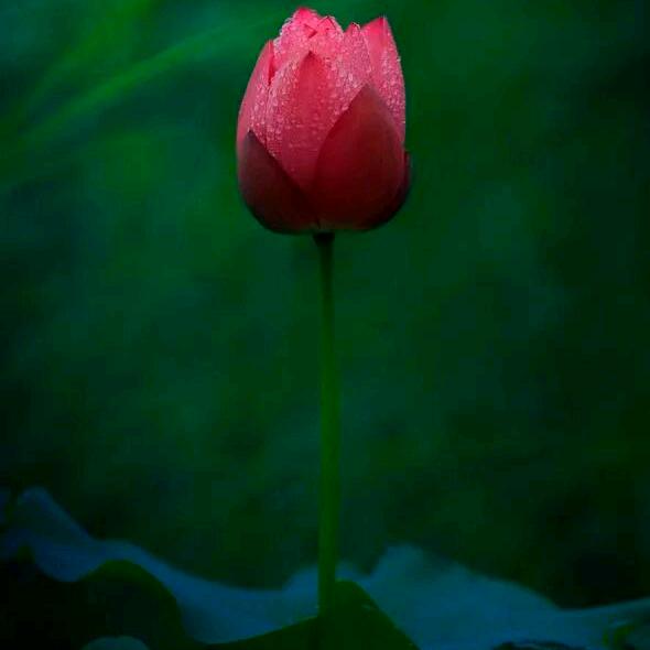 新型快速大机气钻井