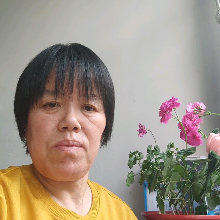 圆梦姐