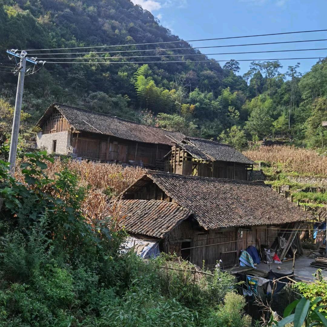 农村飞哥