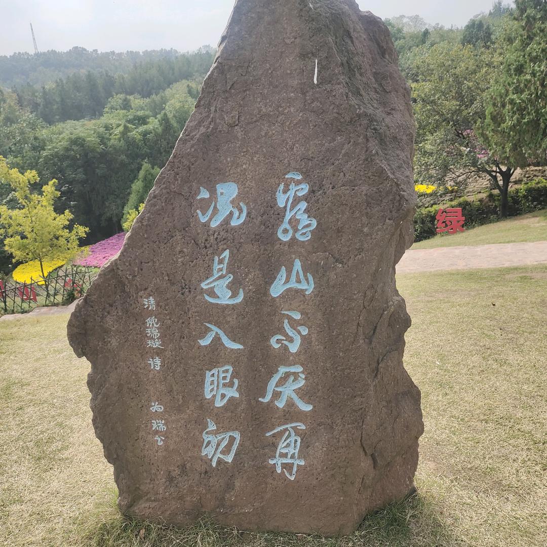 睢宁县晨馨房产咨询部