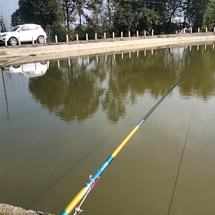 鱼缸