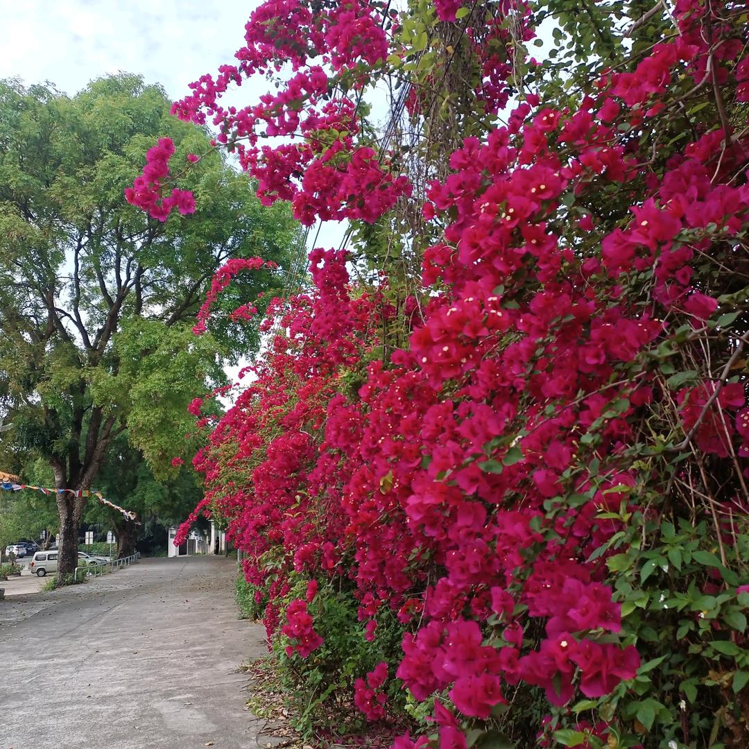 没有第二次