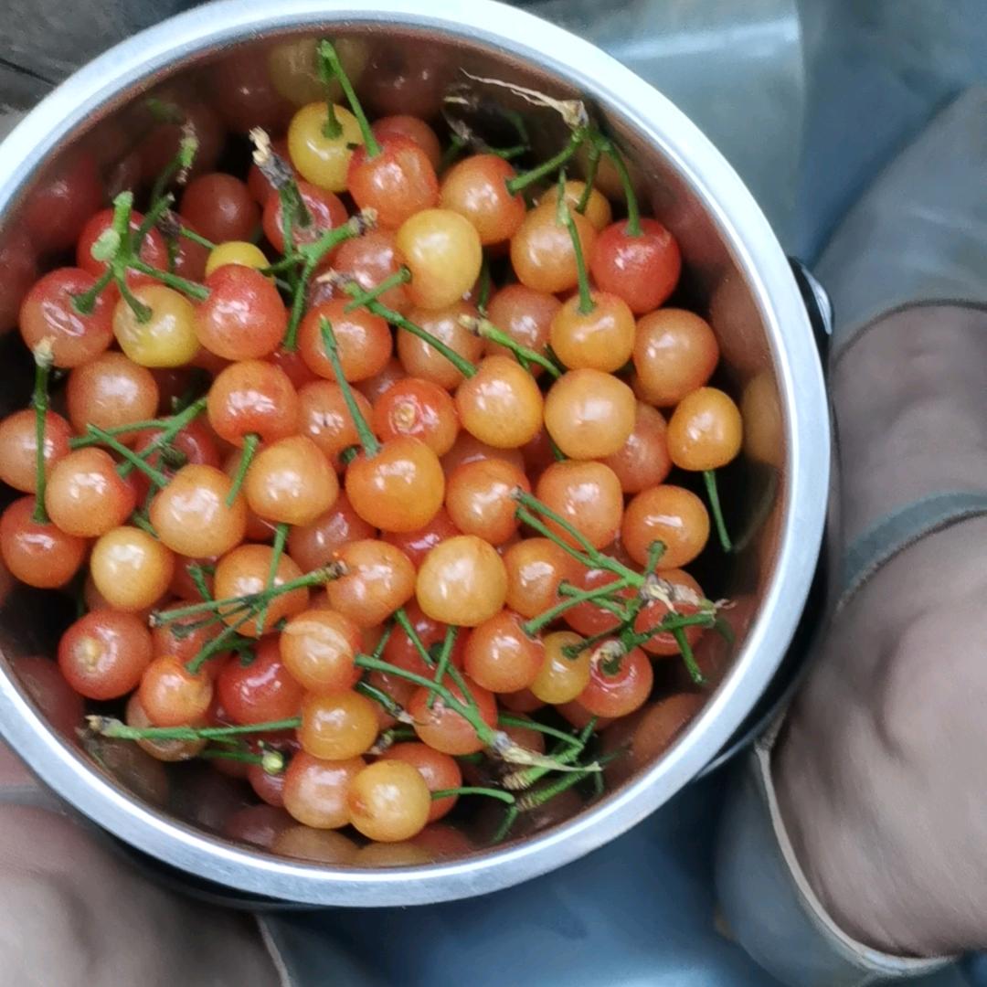 郯城食神一姐