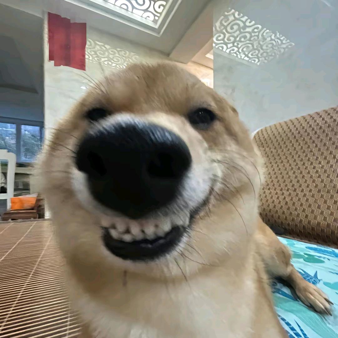巫羊池