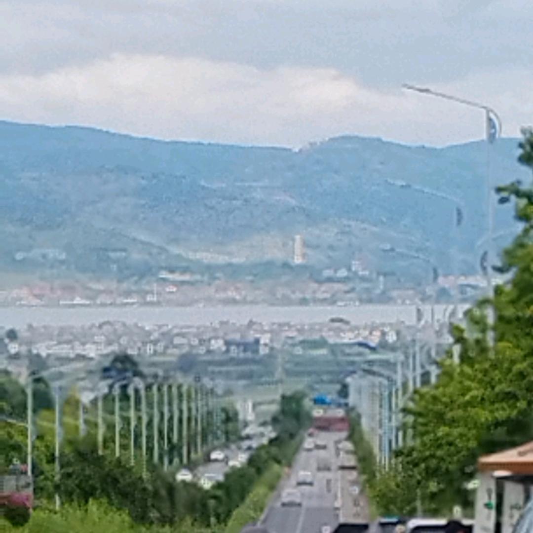 扣扣（海南旅居）
