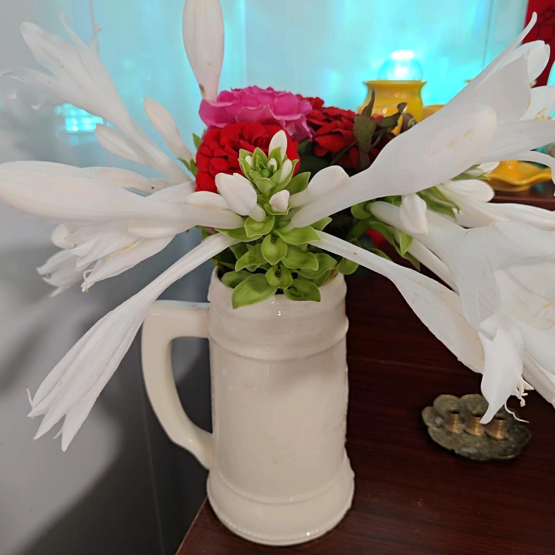 农村十姐聊圆圈🔥