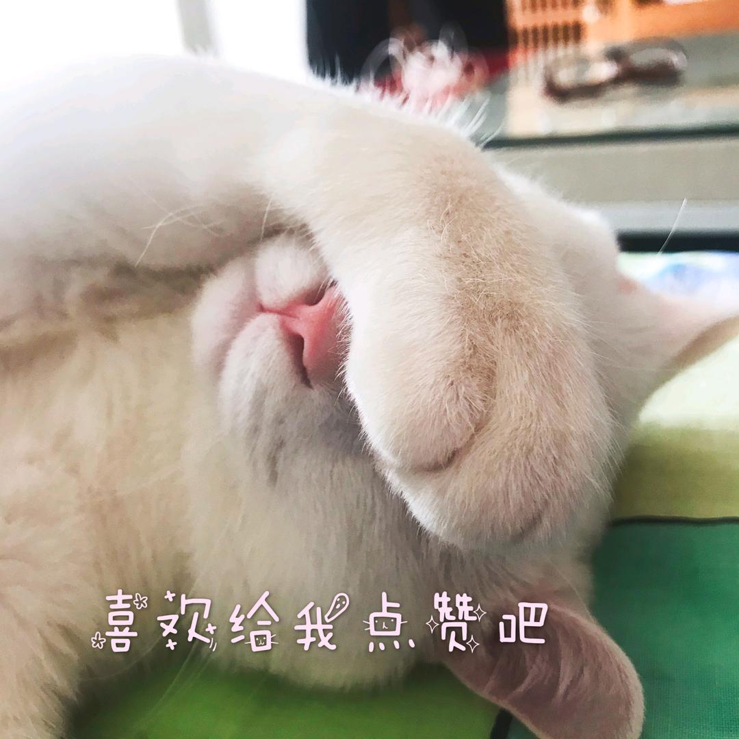 龙盈盈—413