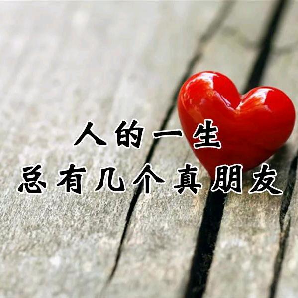 鲁豫冀。南方屠宰企业专供肥牛