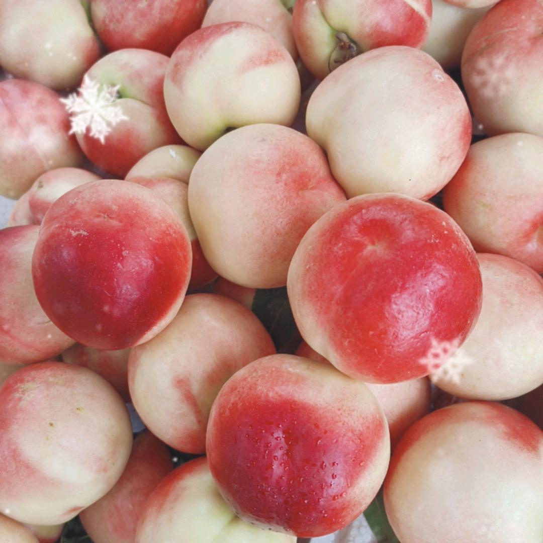 华姐  摆摊生活