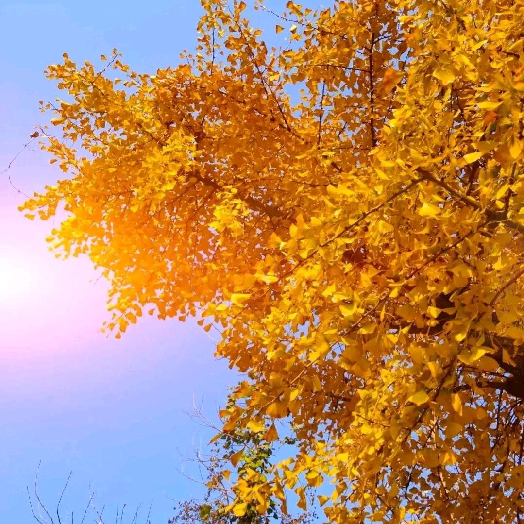 行走在你你今天