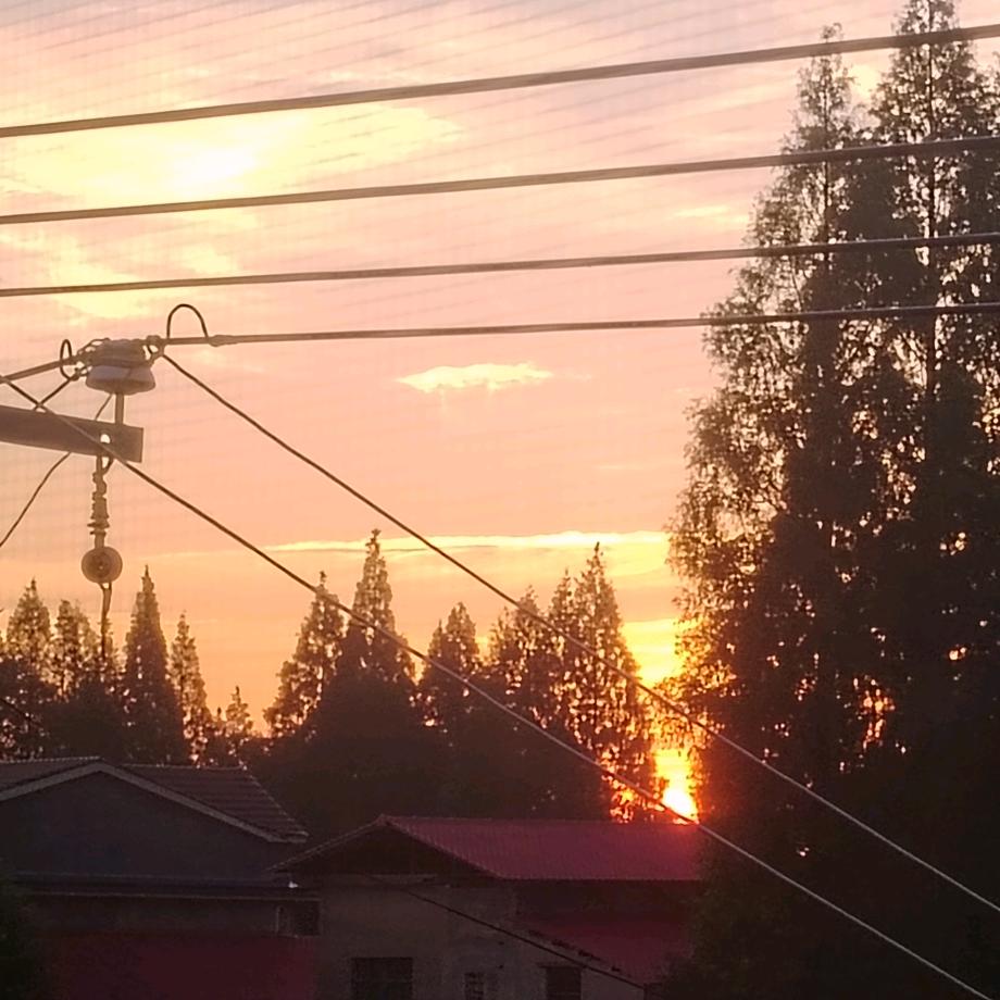 蜗牛的乡村生活