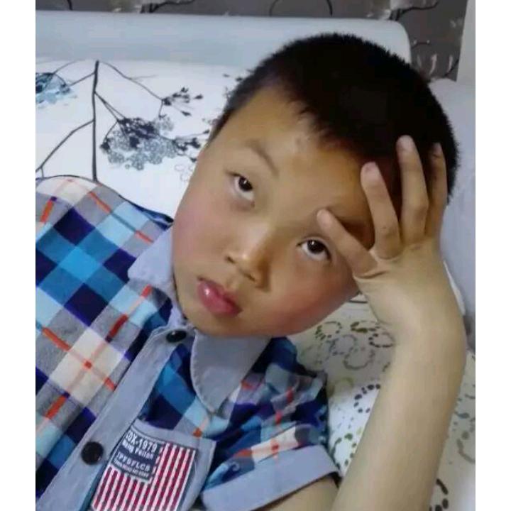Y杨先生