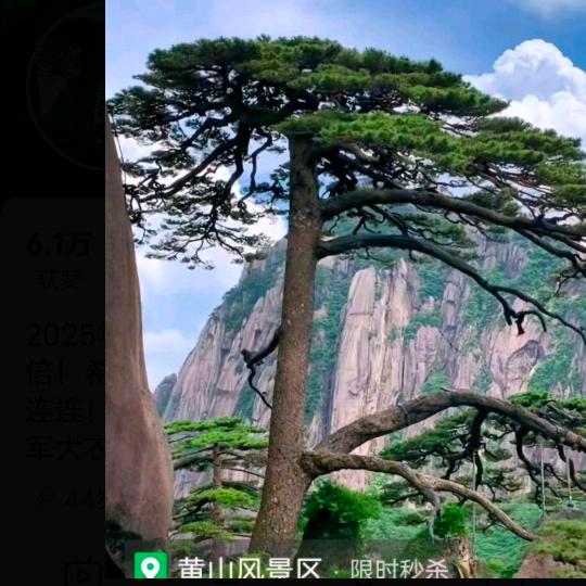 🌴🌴开❤️快乐的我🌲🌲