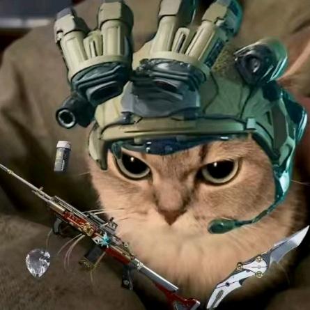 哈哈哈哈哈哈哈