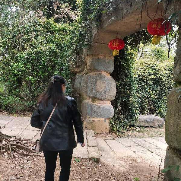 包杏花