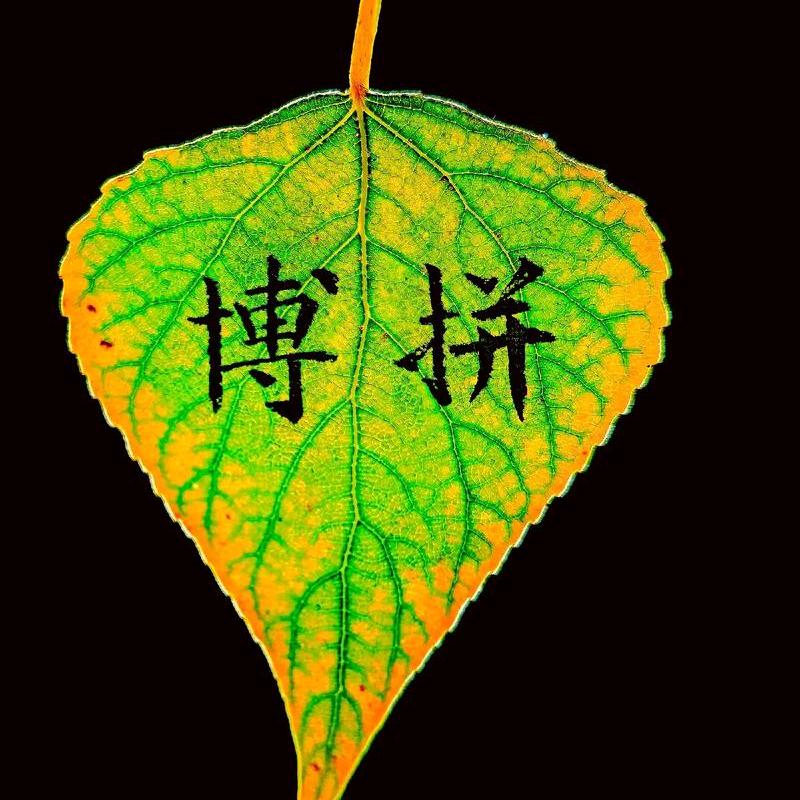 努力