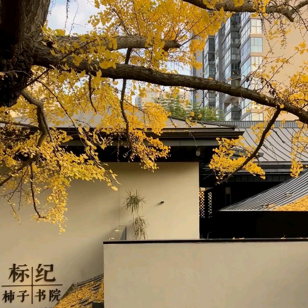 可乐加冰