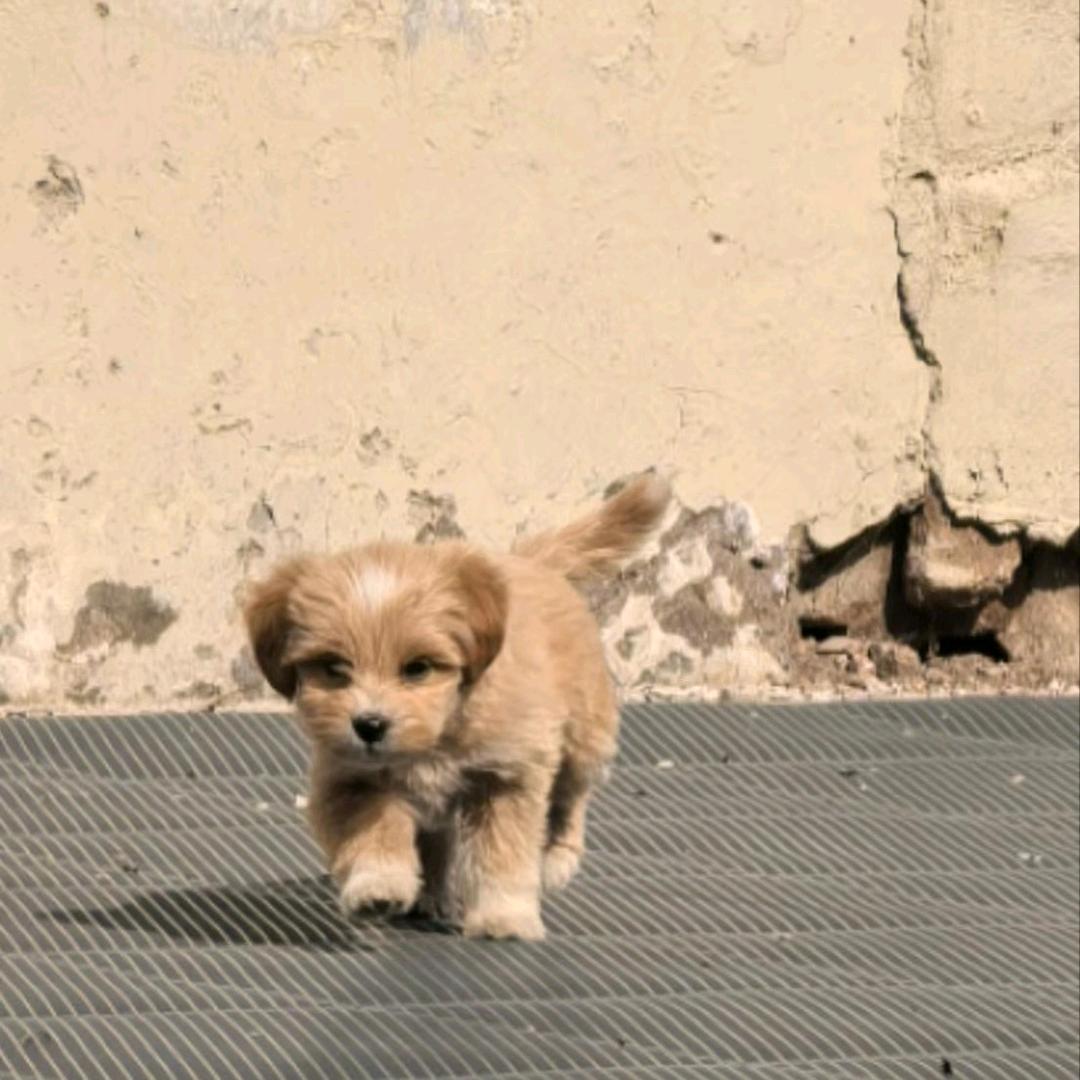 经久