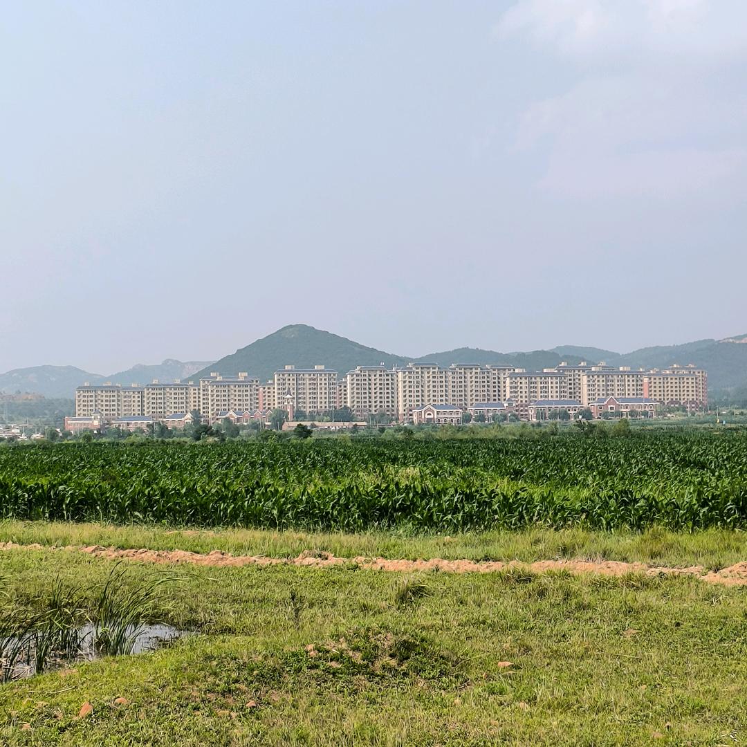 大连太平湾唐守雨