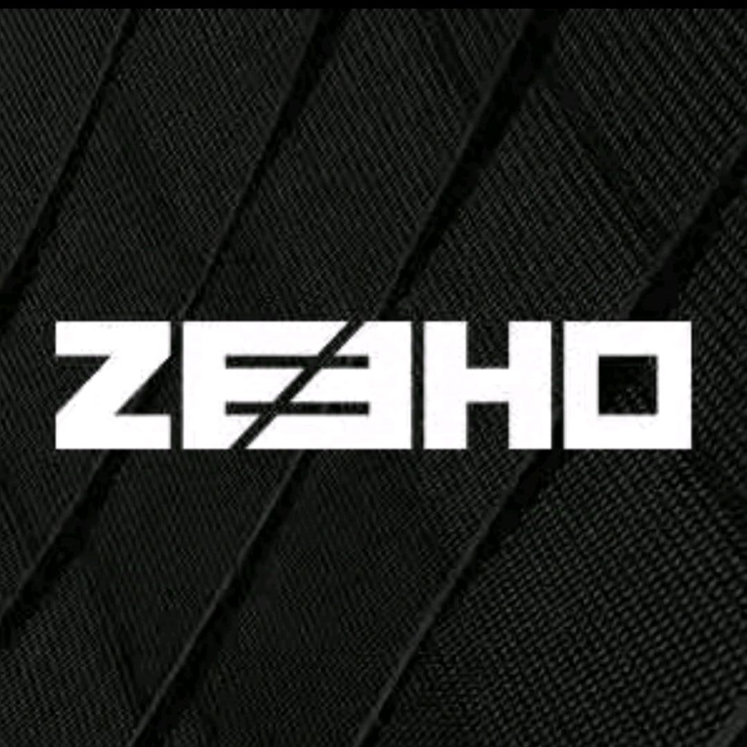 ZEEHO极核电动(武汉珞喻路店)